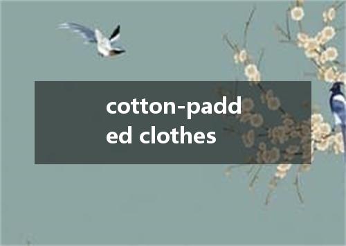 cotton-padded clothes是什么意思