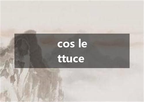 cos lettuce是什么意思