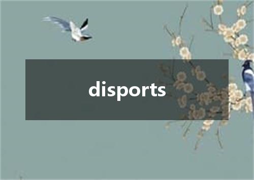 disports是什么意思