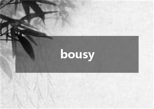 bousy是什么意思