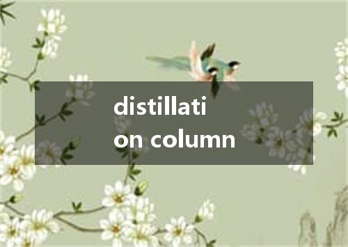 distillation column是什么意思