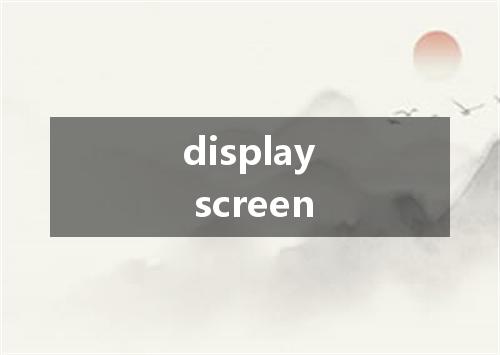 display screen是什么意思