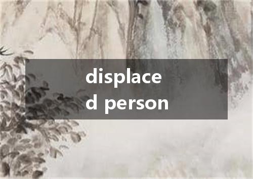 displaced person是什么意思