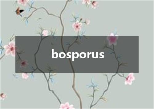 bosporus是什么意思