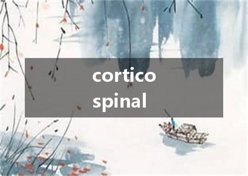 corticospinal是什么意思