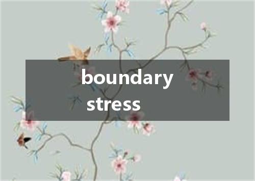 boundary stress是什么意思