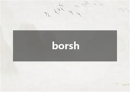 borsh是什么意思