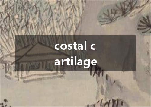 costal cartilage是什么意思