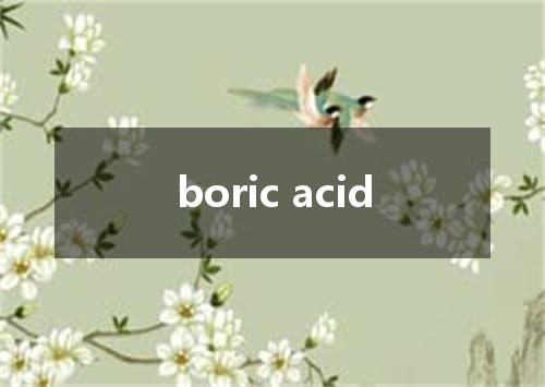 boric acid是什么意思