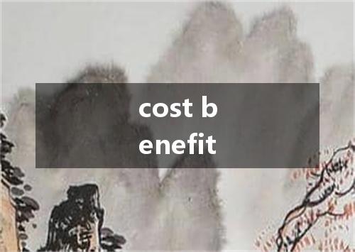 cost benefit是什么意思