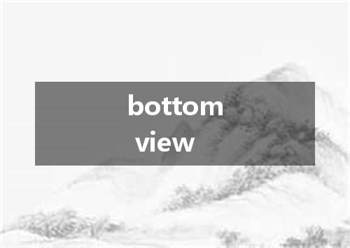 bottom view是什么意思