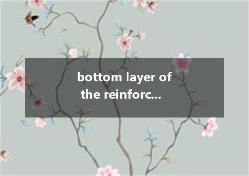 bottom layer of the reinforcing steel是什么意思