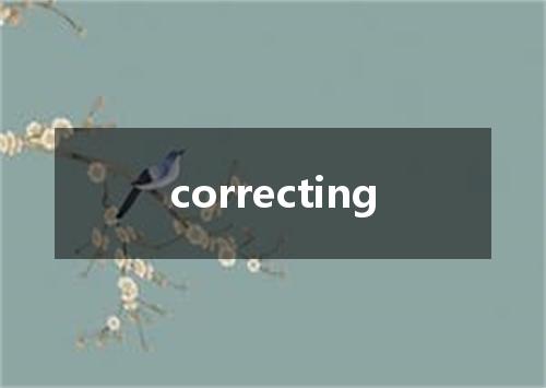 correcting是什么意思