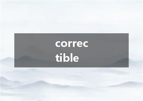 correctible是什么意思