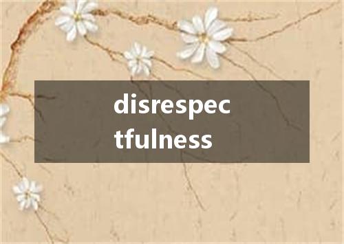 disrespectfulness是什么意思