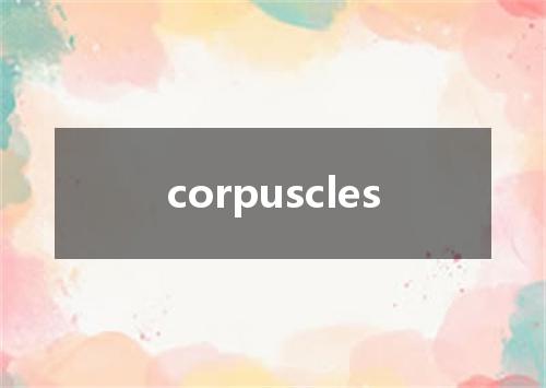 corpuscles是什么意思