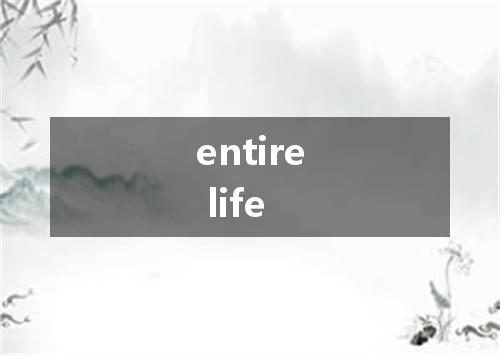 entire life是什么意思