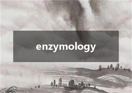 enzymology是什么意思