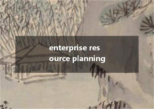 enterprise resource planning是什么意思