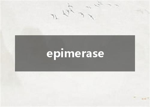 epimerase是什么意思
