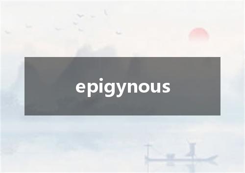 epigynous是什么意思
