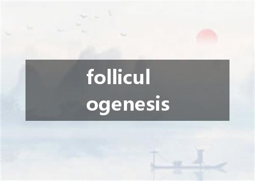 folliculogenesis是什么意思