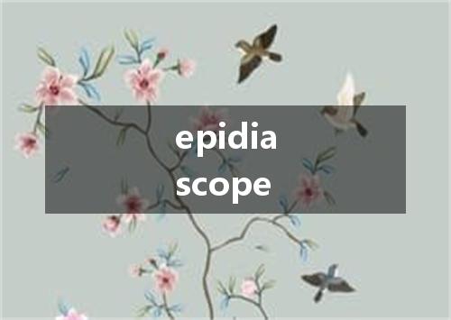 epidiascope是什么意思