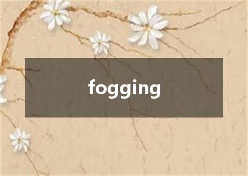 fogging是什么意思