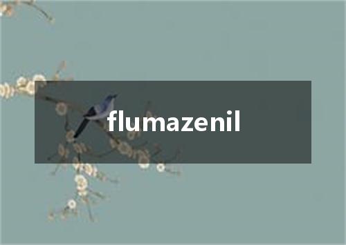flumazenil是什么意思