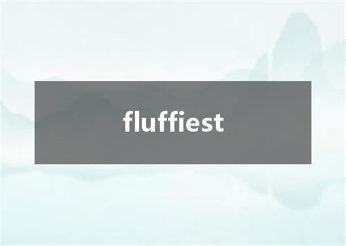 fluffiest是什么意思