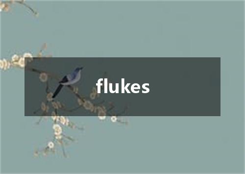 flukes是什么意思