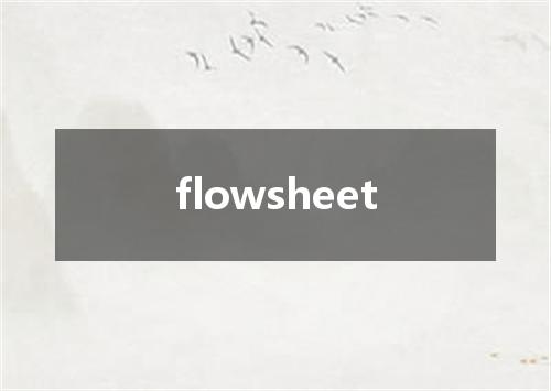 flowsheet是什么意思