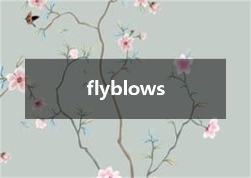 flyblows是什么意思