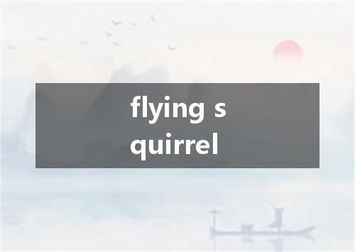 flying squirrel是什么意思