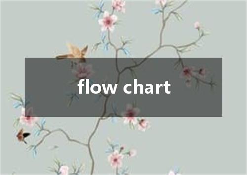 flow chart是什么意思