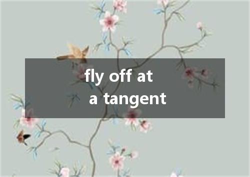 fly off at a tangent是什么意思