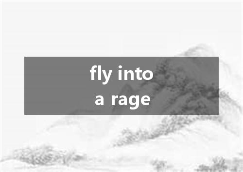 fly into a rage是什么意思
