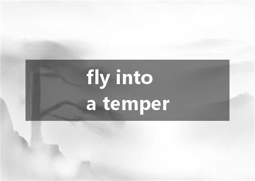 fly into a temper是什么意思