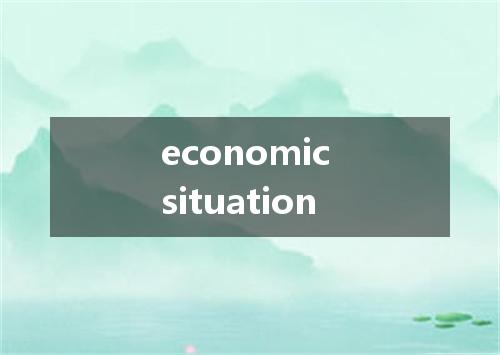 economic situation是什么意思