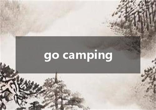 go camping是什么意思