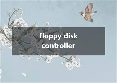 floppy disk controller是什么意思
