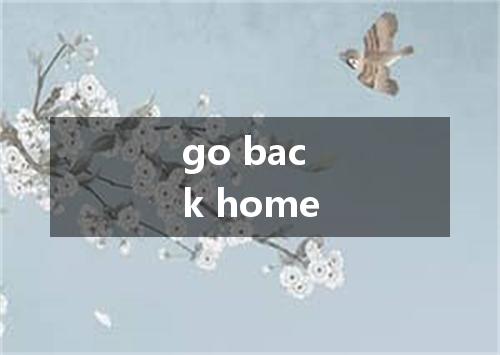go back home是什么意思