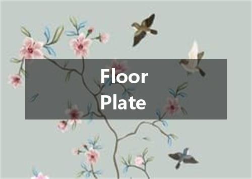 Floor Plate是什么意思