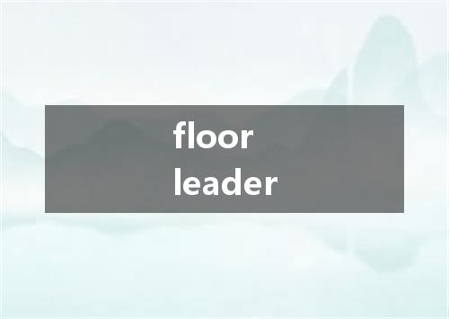 floor leader是什么意思