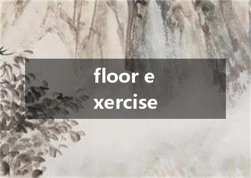 floor exercise是什么意思