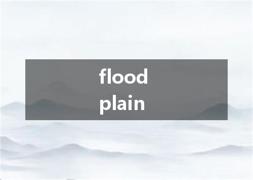 flood plain是什么意思