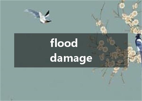 flood damage是什么意思