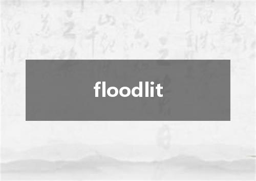 floodlit是什么意思