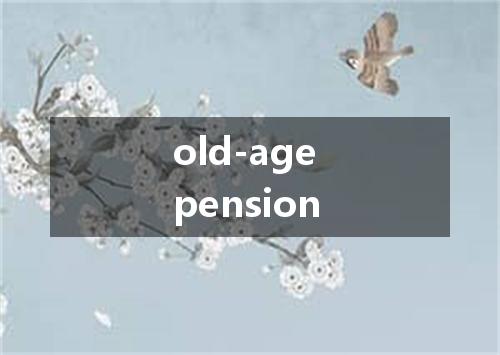 old-age pension是什么意思