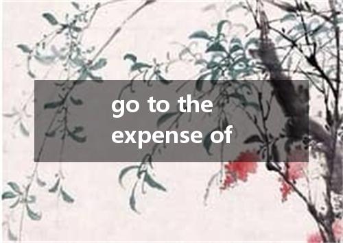 go to the expense of是什么意思